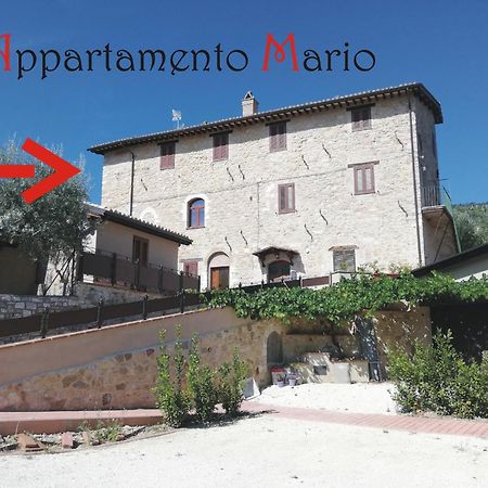 אסיסי Appartamenti Cardinali מראה חיצוני תמונה