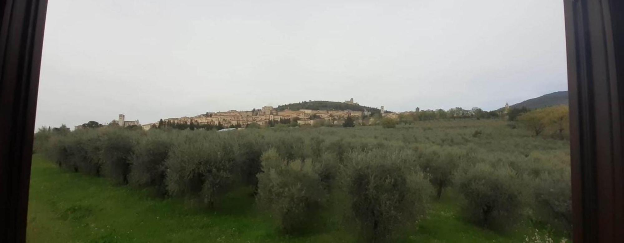 אסיסי Appartamenti Cardinali מראה חיצוני תמונה